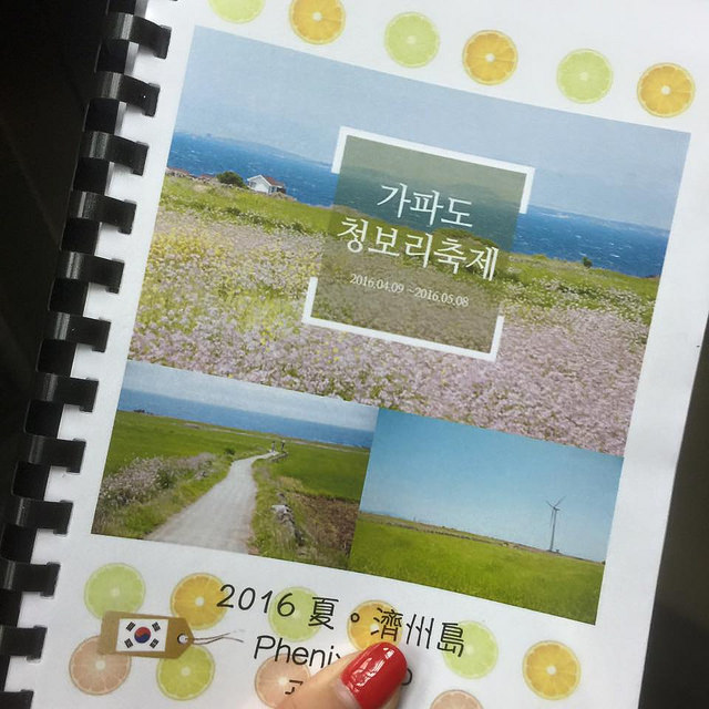 2014 冬。釜山,住宿,機票,網路,行程表,跨年,釜山,釜山跨年